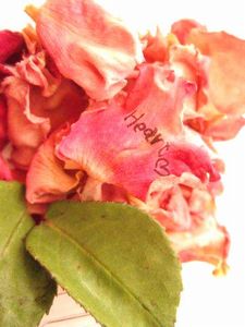 sample