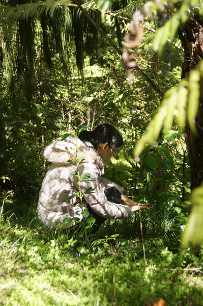 写真