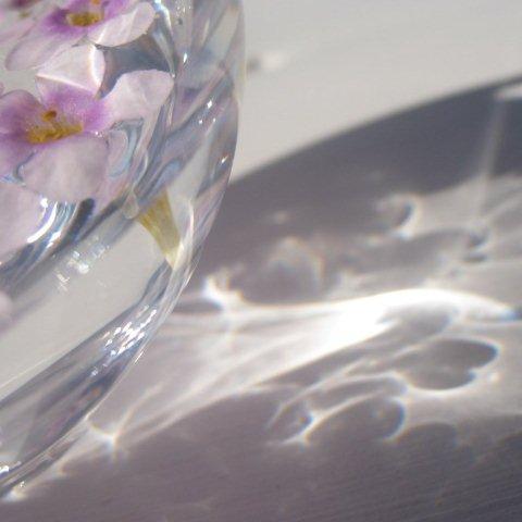 sample